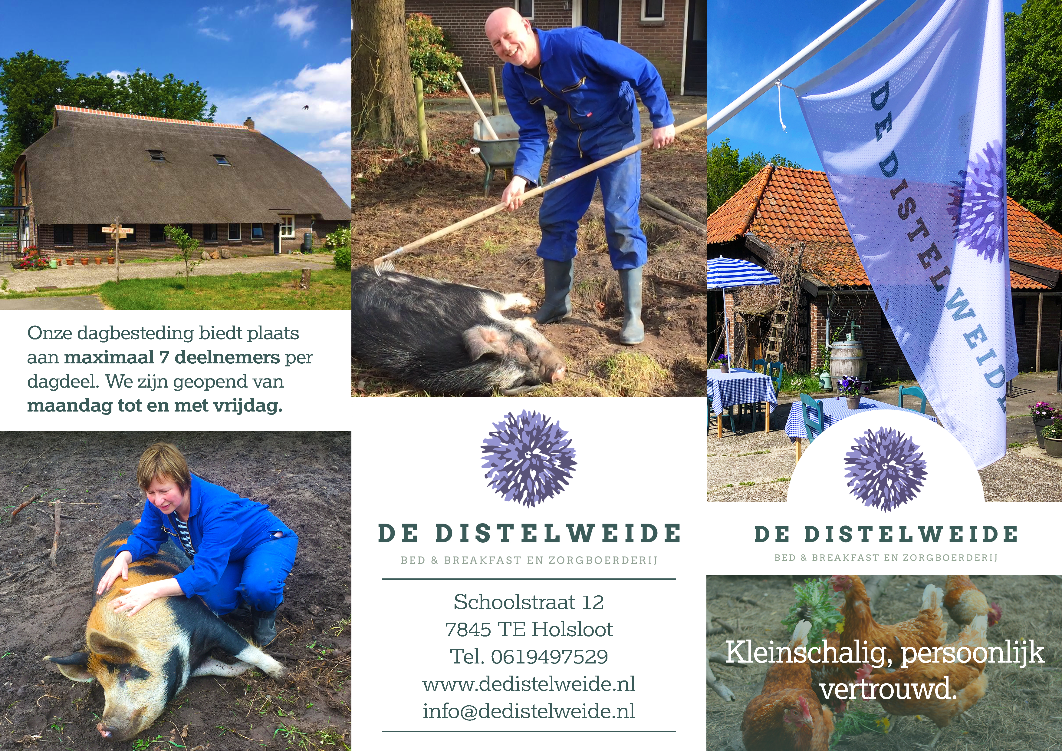 Brochure Cover