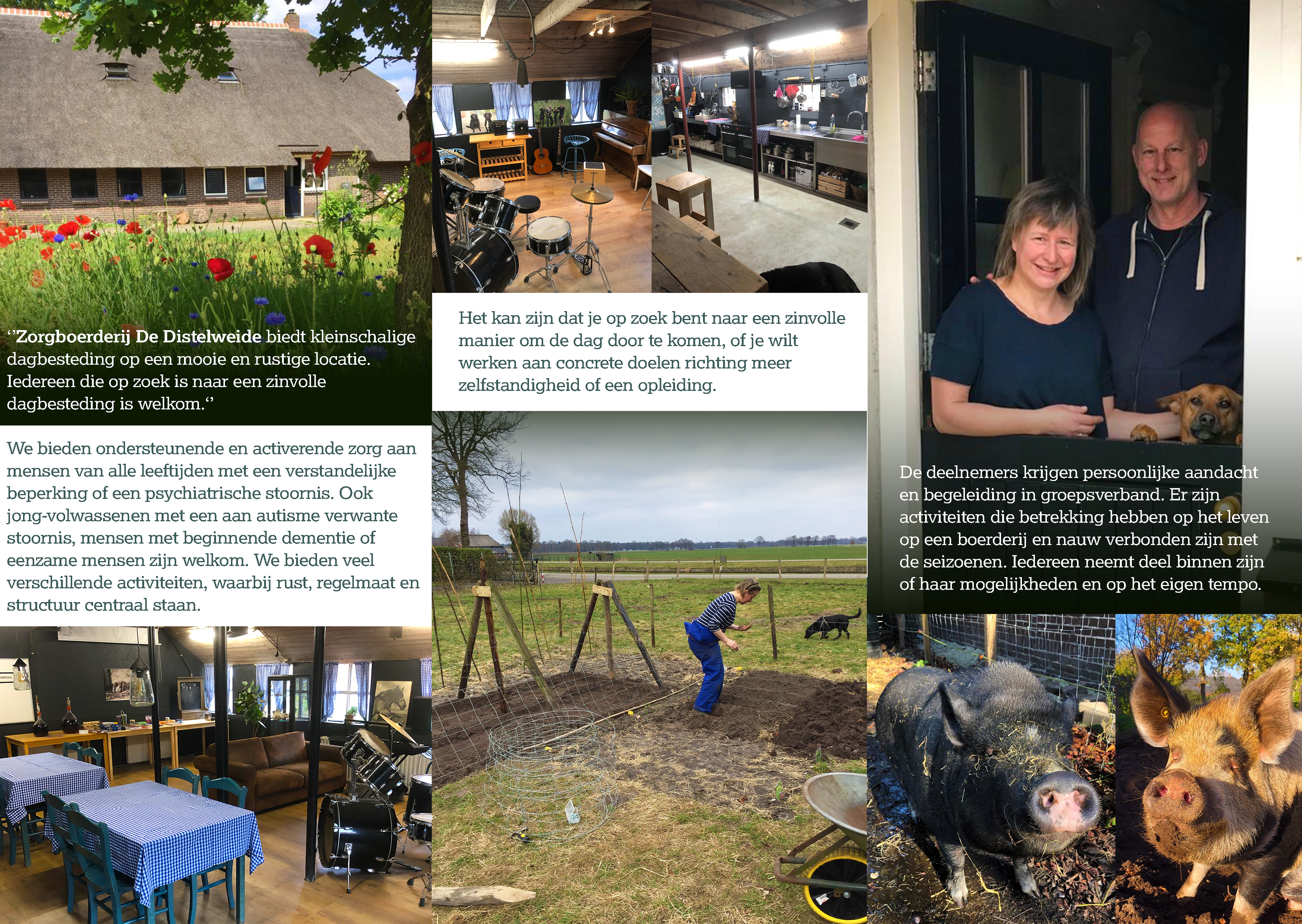 De Distelweide Brochure